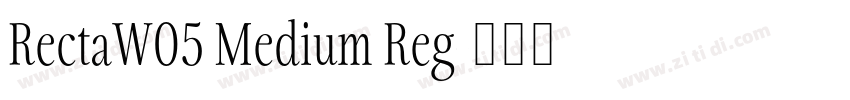 RectaW05 Medium Reg字体转换